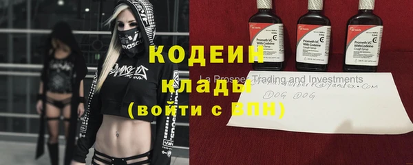 гашик Балахна