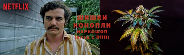 амф Арсеньев