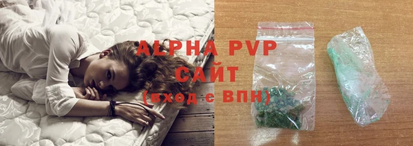 гашик Балахна
