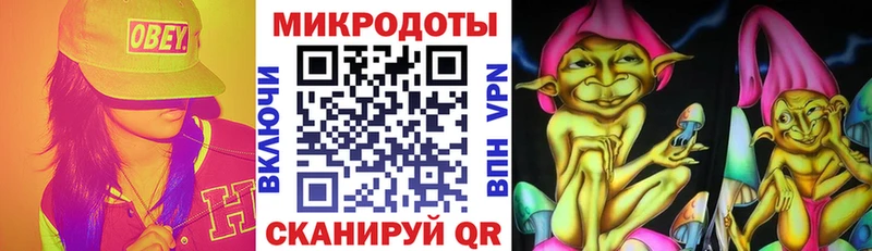 Псилоцибиновые грибы Psilocybe  Сольвычегодск 