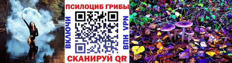 Галлюциногенные грибы Cubensis Сольвычегодск